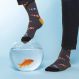 ANIMAL SOCKS RED FISH