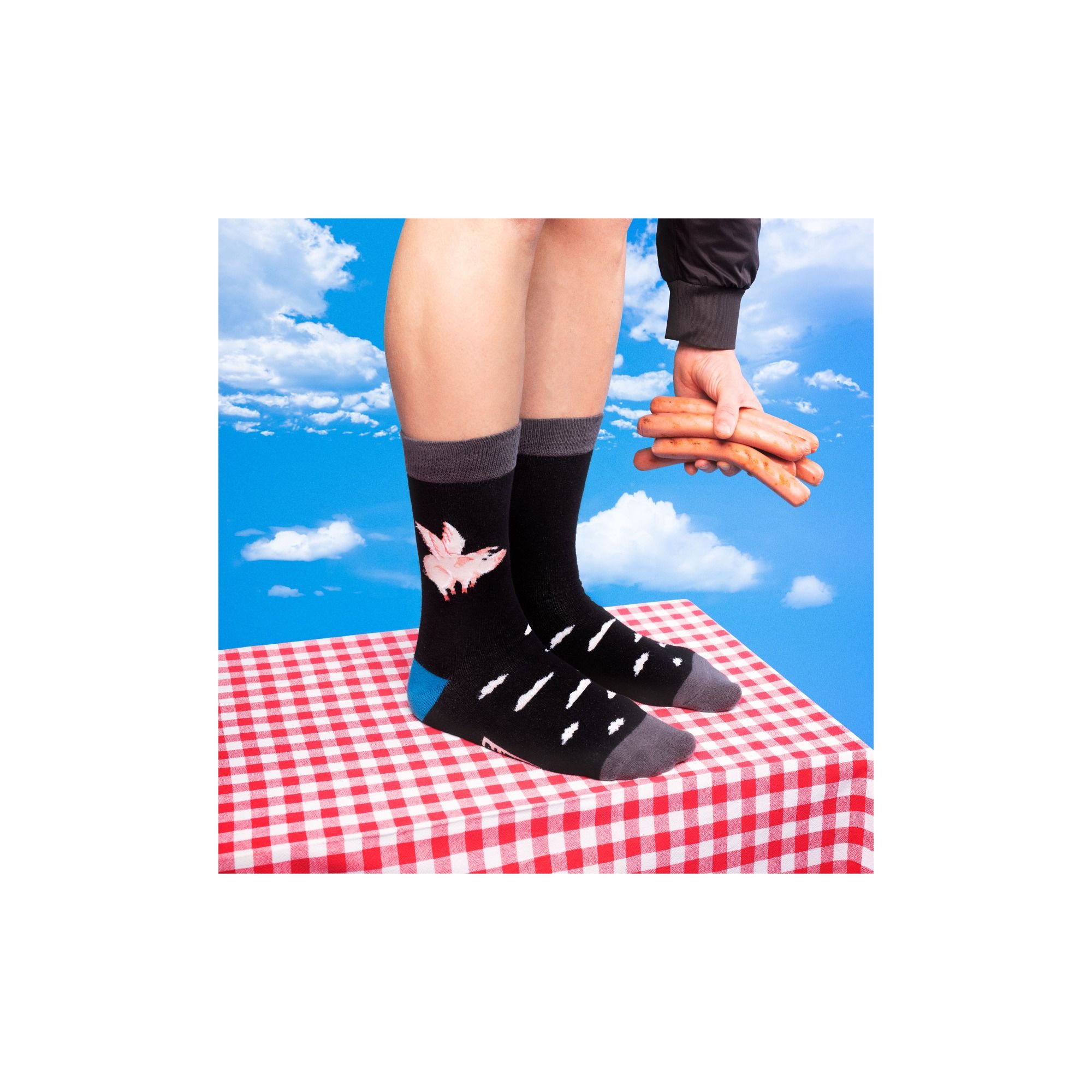 TALES SOCKS FLYING PIG