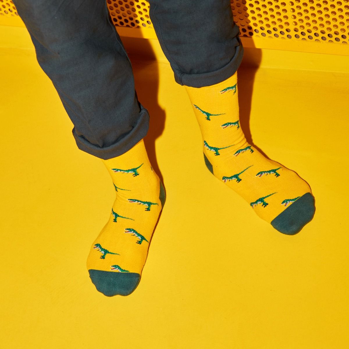 TALES SOCKS T-REX