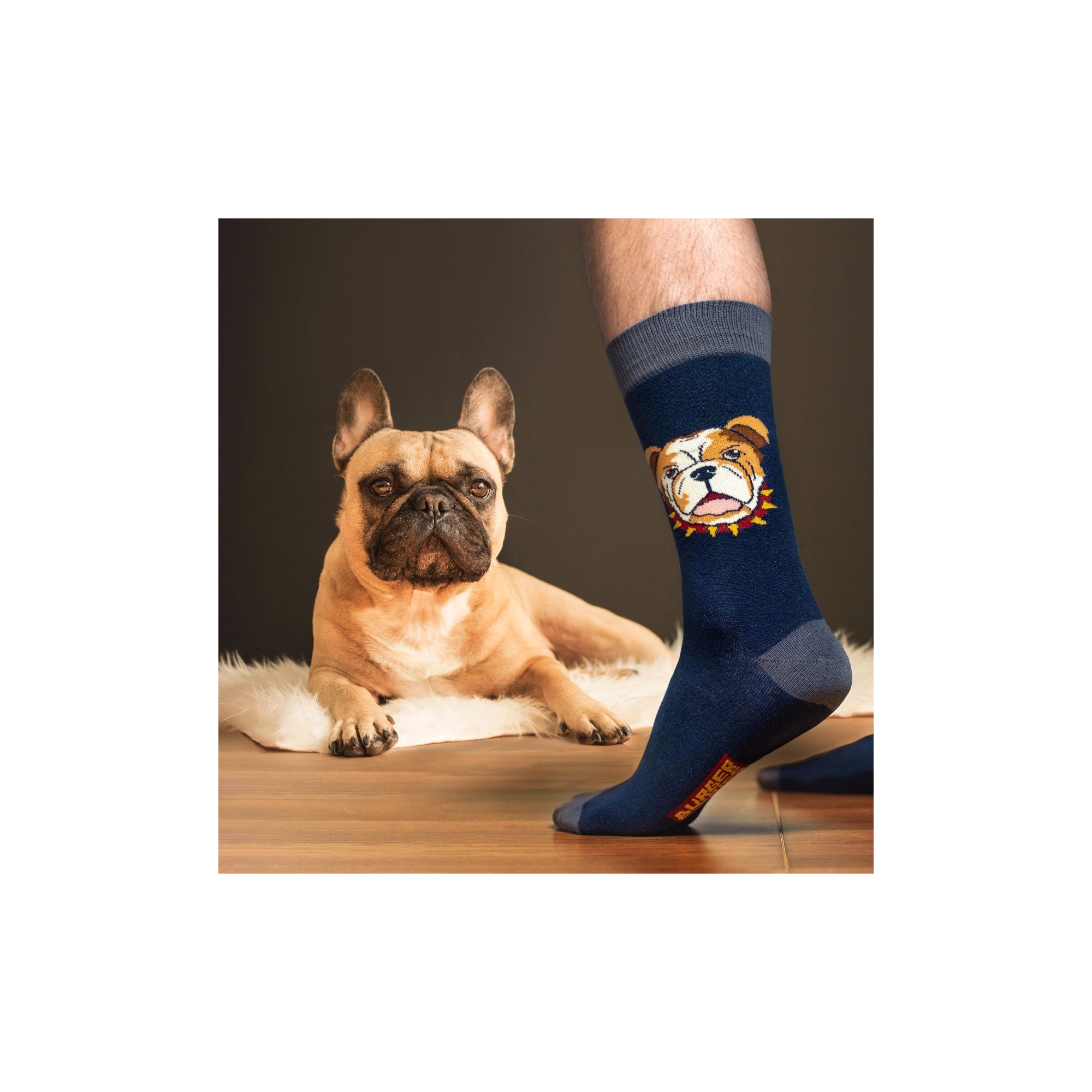 ANIMAL SOCKS JACK THE DOG AVIO