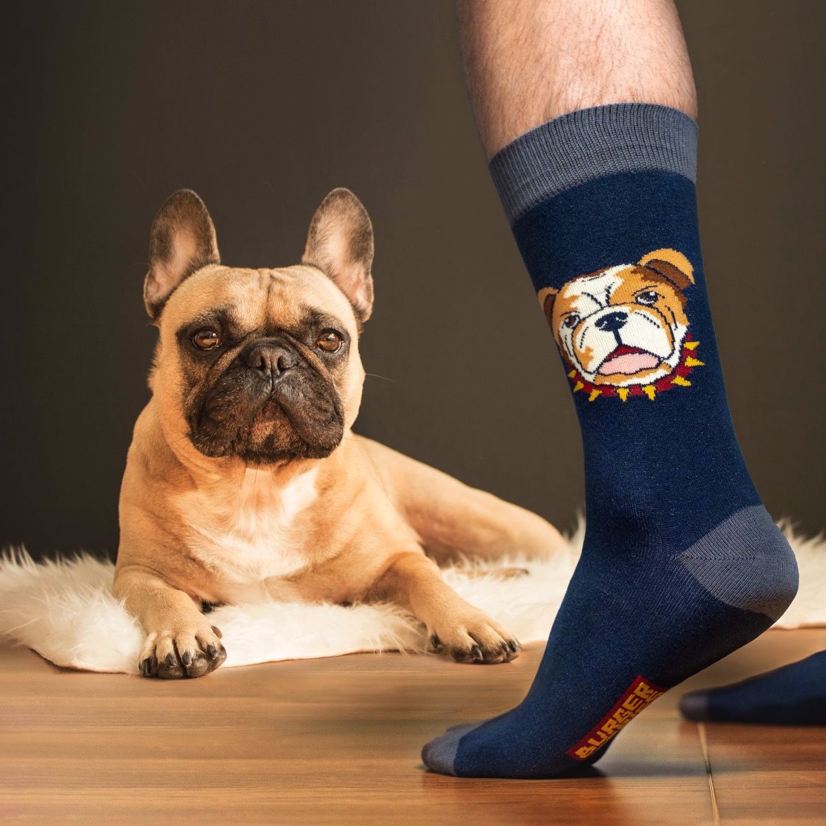 ANIMAL SOCKS JACK THE DOG AVIO