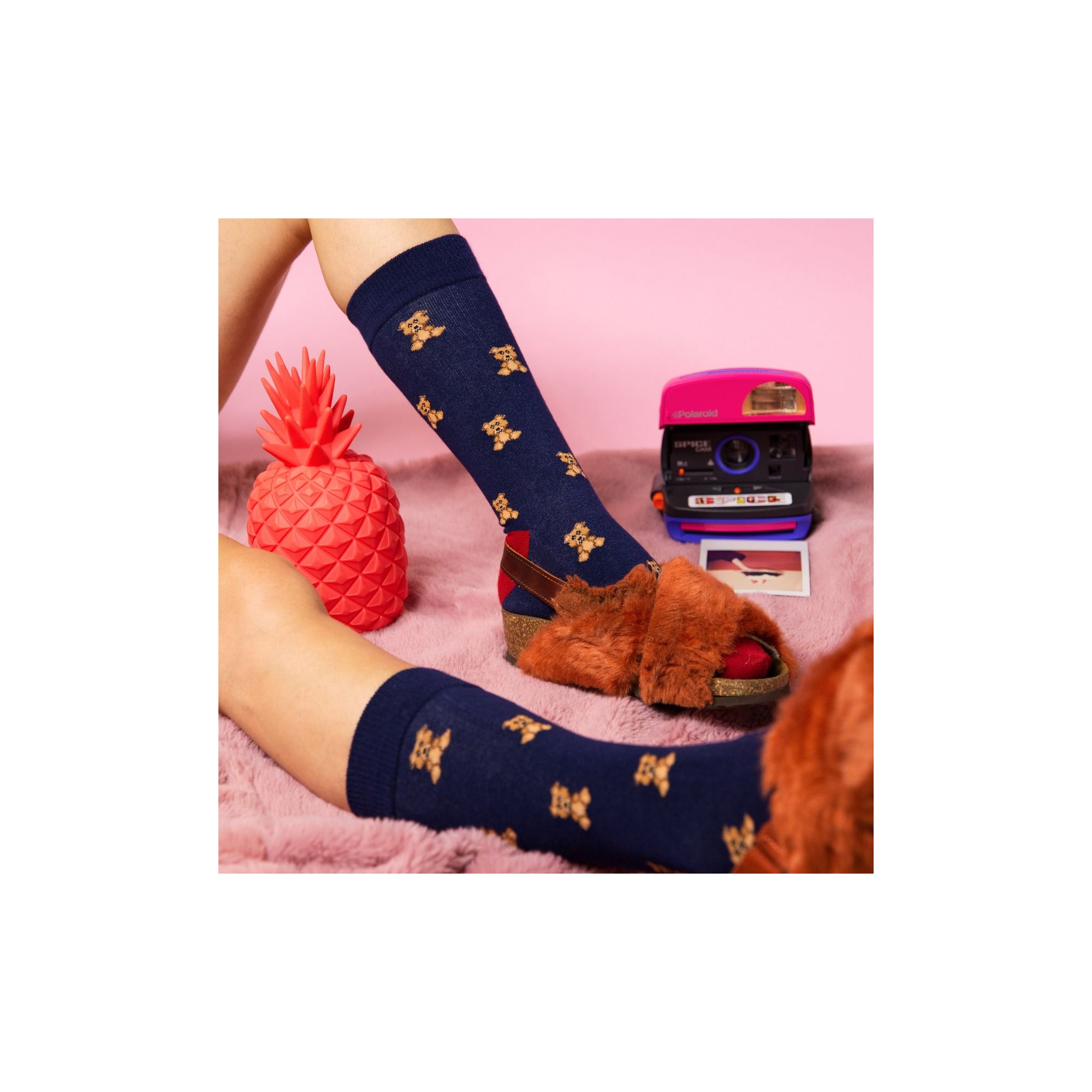 TALES SOCKS TEDDYBEAR