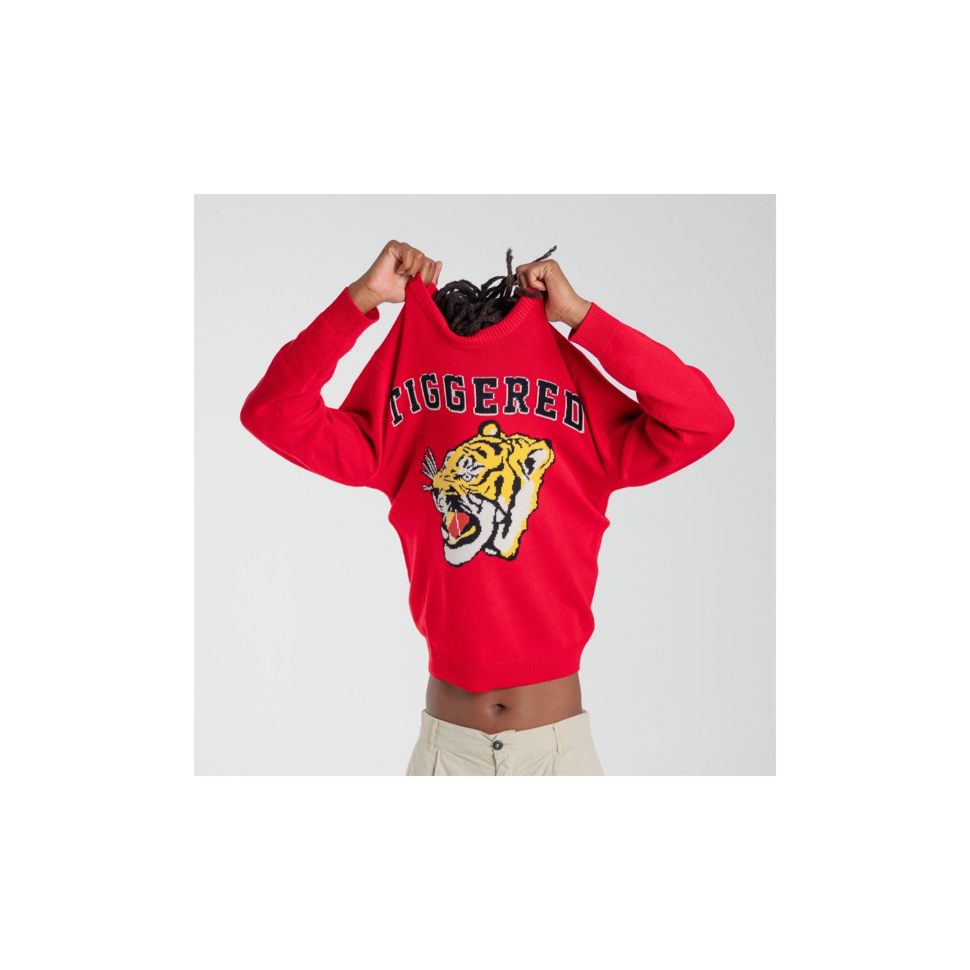 ROUND NECK JUMPER TIGER ROAR POWER